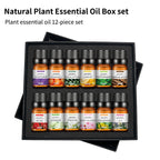 Water-Soluble Aromatherapy Essential Oil 10ml Humidifier Diffuser Stone Gypsum Long-Lasting Incense Set Long-Lasting Fragrance