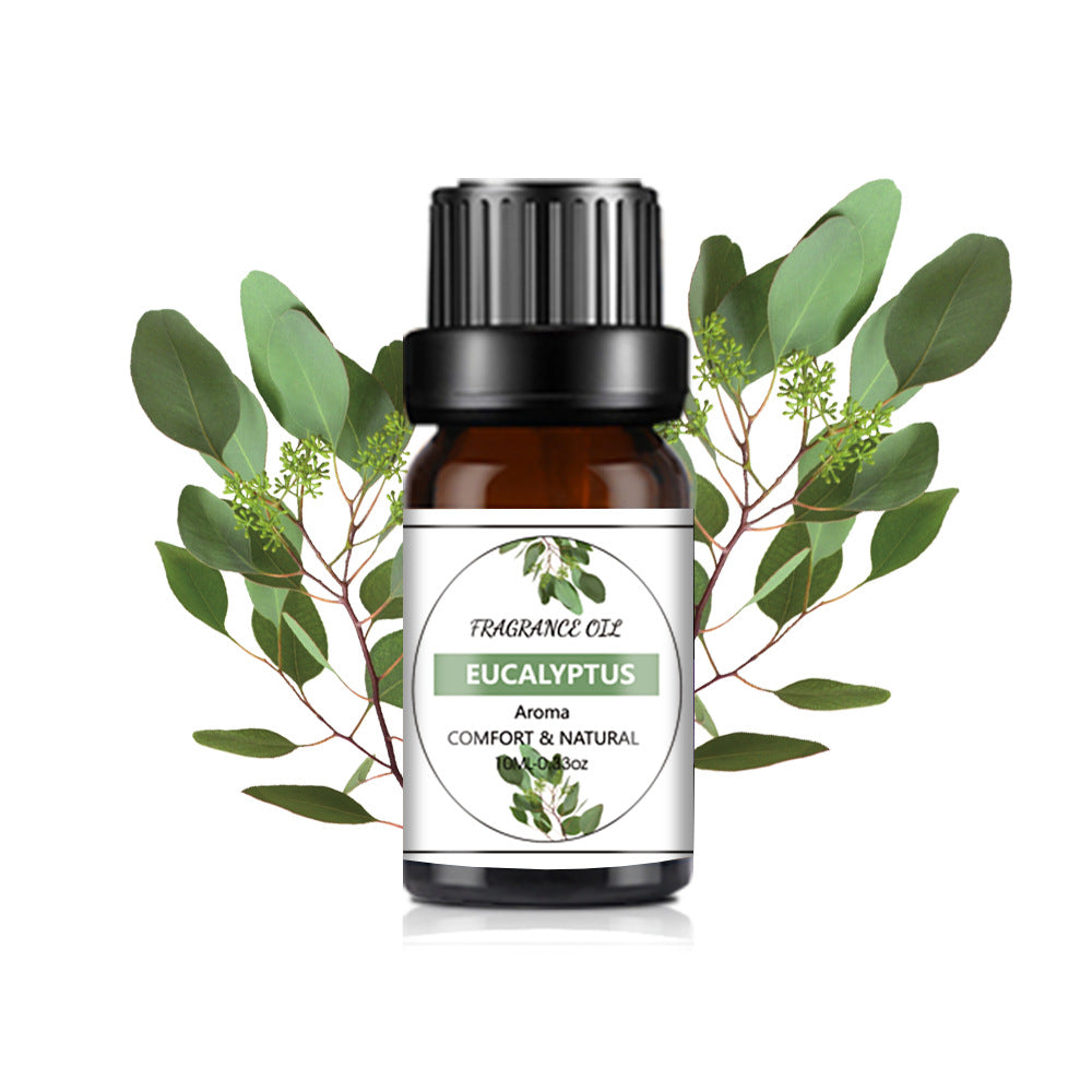 10ml Water-Soluble Aromatherapy Essential Oil for Fresh Fragrance, Humidifier Diffuser, Long-Lasting Scent, Cross-Border Hot Item