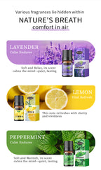 Cross-Border English Water-Soluble Aromatherapy Essential Oil 5ML Plant Essential Oil Suitable for Bedroom Humidifier Diffuser Aromatherapy Essential Oil