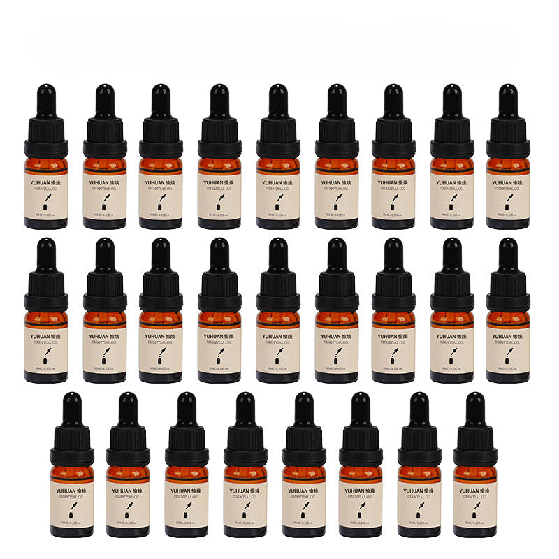 Humidifier Aromatherapy Essential Oil Special for Home Indoor Long-lasting Gypsum Diffuser Stone Dropper Type Aromatherapy Essential Oil Water-soluble