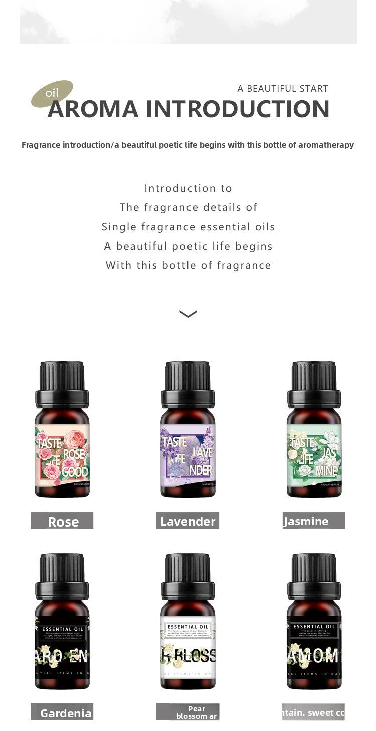 Water Soluble Aromatherapy Essential Oil Set 10ml Humidifier Special Fragrance Oils Plant Diffuser Aromatic Kit