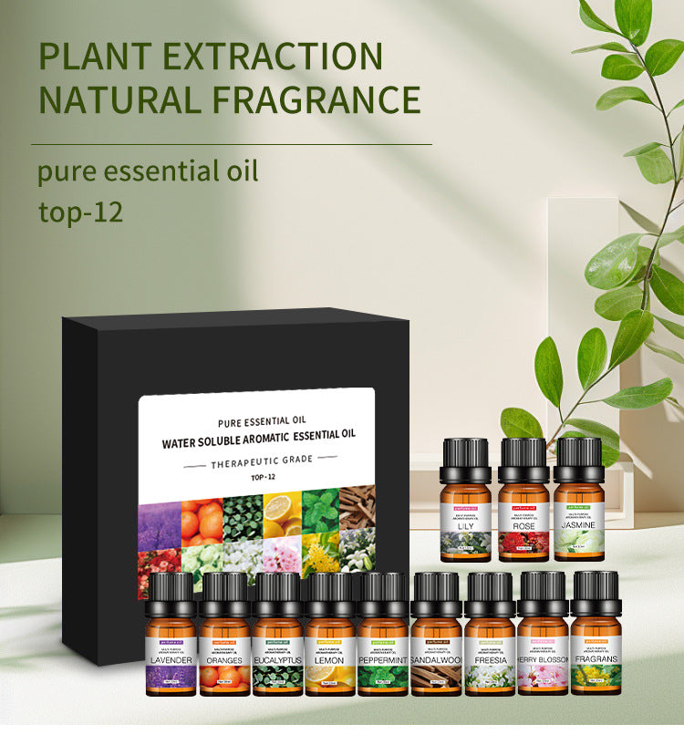 Water-Soluble Aromatherapy Essential Oil 10ml Humidifier Diffuser Stone Gypsum Long-Lasting Incense Set Long-Lasting Fragrance