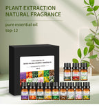 Water-Soluble Aromatherapy Essential Oil 10ml Humidifier Diffuser Stone Gypsum Long-Lasting Incense Set Long-Lasting Fragrance