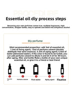 Wholesale DIY Team Building Perfume Essential Oil Concentrate Indoor Salon Homemade Perfume Fragrance Oil Balm Plant Essential Oil