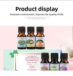 Essential Oil Diffuser Stones Set Water Soluble Aromatherapy Humidifier Plant Sweet Orange Scented Gift Box Home Fragrance