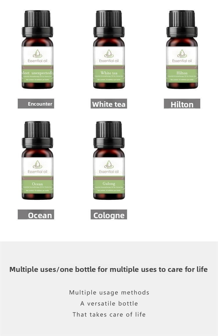 Water Soluble Aromatherapy Essential Oil Set 10ml Humidifier Special Fragrance Oils Plant Diffuser Aromatic Kit