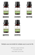 Water Soluble Aromatherapy Essential Oil Set 10ml Humidifier Special Fragrance Oils Plant Diffuser Aromatic Kit