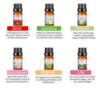 Water-Soluble Aromatherapy Essential Oil 10ml Humidifier Diffuser Stone Gypsum Long-Lasting Incense Set Long-Lasting Fragrance