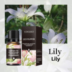 YINSHO Flameless Aromatherapy Essential Oil for Home Air Freshener Water-Soluble Humidifier Special Essential Oil Manufacturer Wholesale