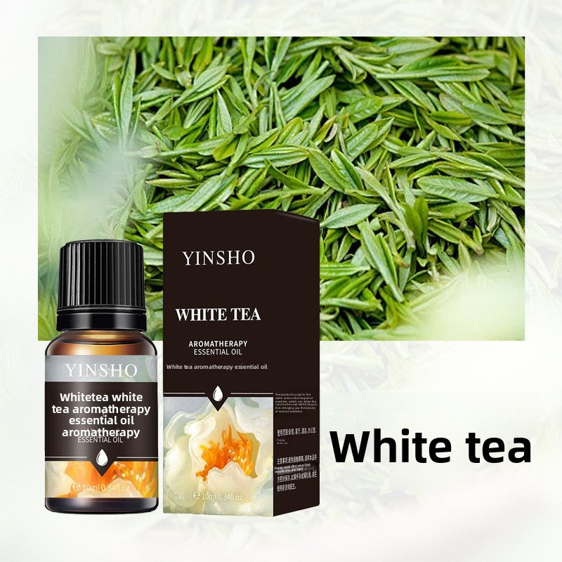 YINSHO Flameless Aromatherapy Essential Oil for Home Air Freshener Water-Soluble Humidifier Special Essential Oil Manufacturer Wholesale