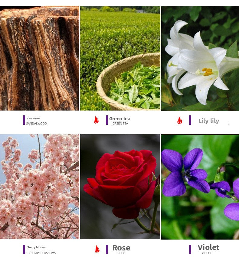 Essential Oil Diffuser Stones Set Water Soluble Aromatherapy Humidifier Plant Sweet Orange Scented Gift Box Home Fragrance