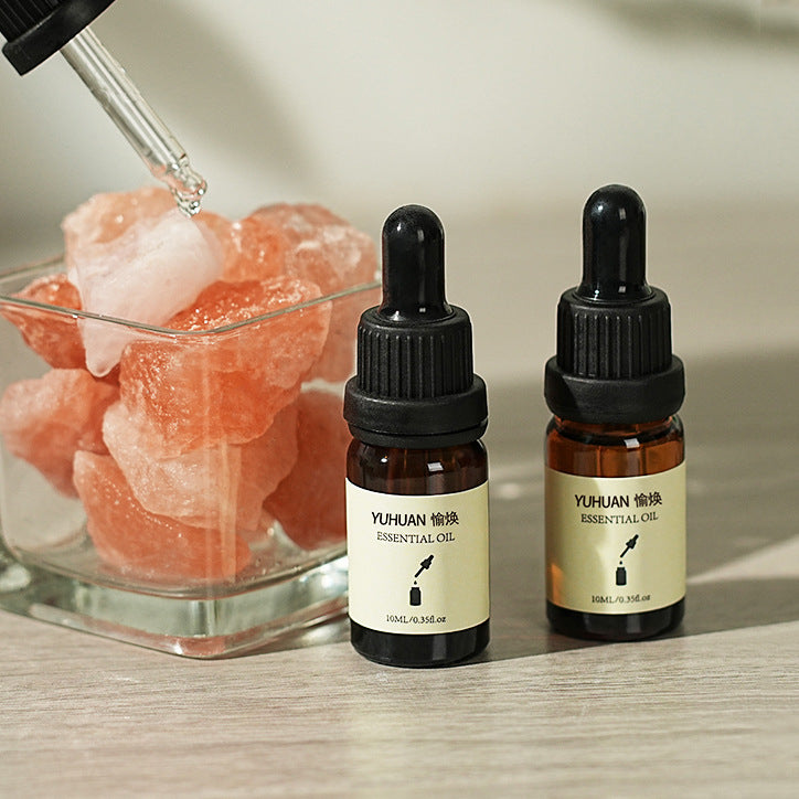 Humidifier Aromatherapy Essential Oil Special for Home Indoor Long-lasting Gypsum Diffuser Stone Dropper Type Aromatherapy Essential Oil Water-soluble