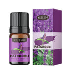 Cross-Border English Water-Soluble Aromatherapy Essential Oil 5ML Plant Essential Oil Suitable for Bedroom Humidifier Diffuser Aromatherapy Essential Oil
