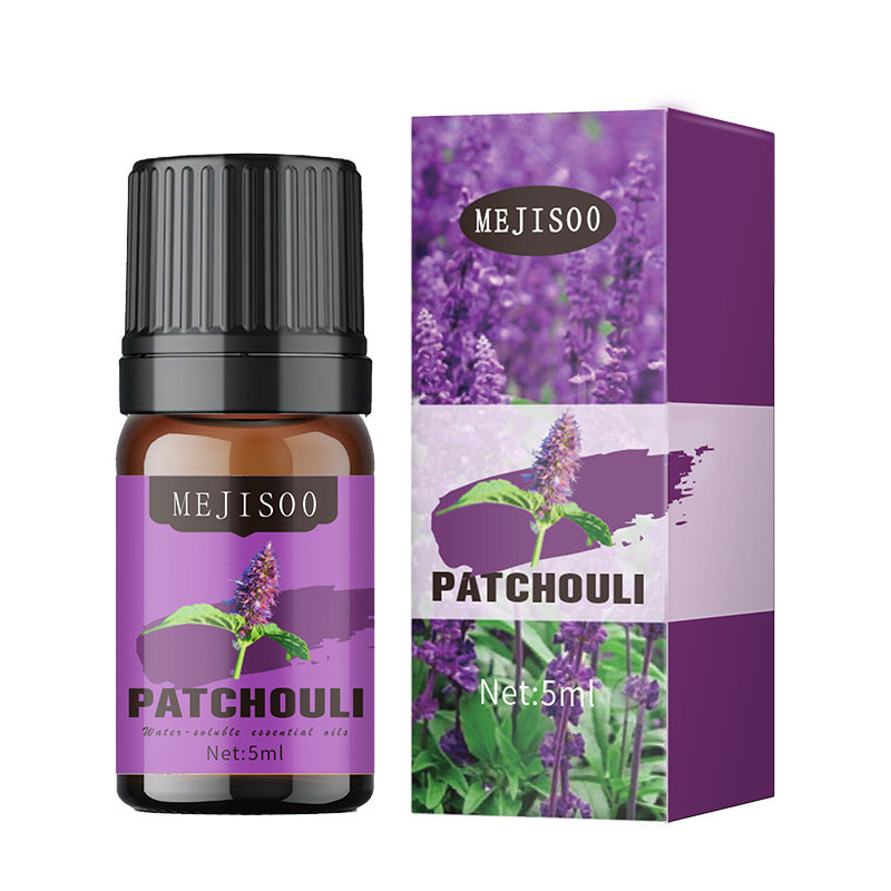 Cross-Border English Water-Soluble Aromatherapy Essential Oil 5ML Plant Essential Oil Suitable for Bedroom Humidifier Diffuser Aromatherapy Essential Oil