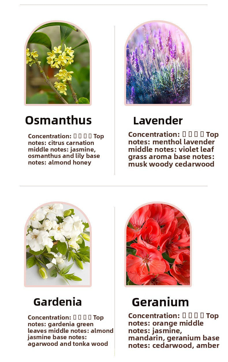 Oil-Soluble Aromatherapy Essential Oil Fresh Air Aromatherapy Candle Diffuser Stone Special Plant Aromatherapy Essential Oil