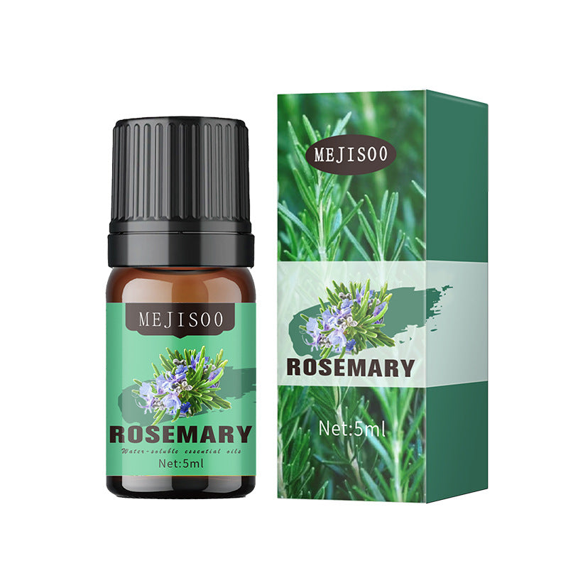Cross-Border English Water-Soluble Aromatherapy Essential Oil 5ML Plant Essential Oil Suitable for Bedroom Humidifier Diffuser Aromatherapy Essential Oil