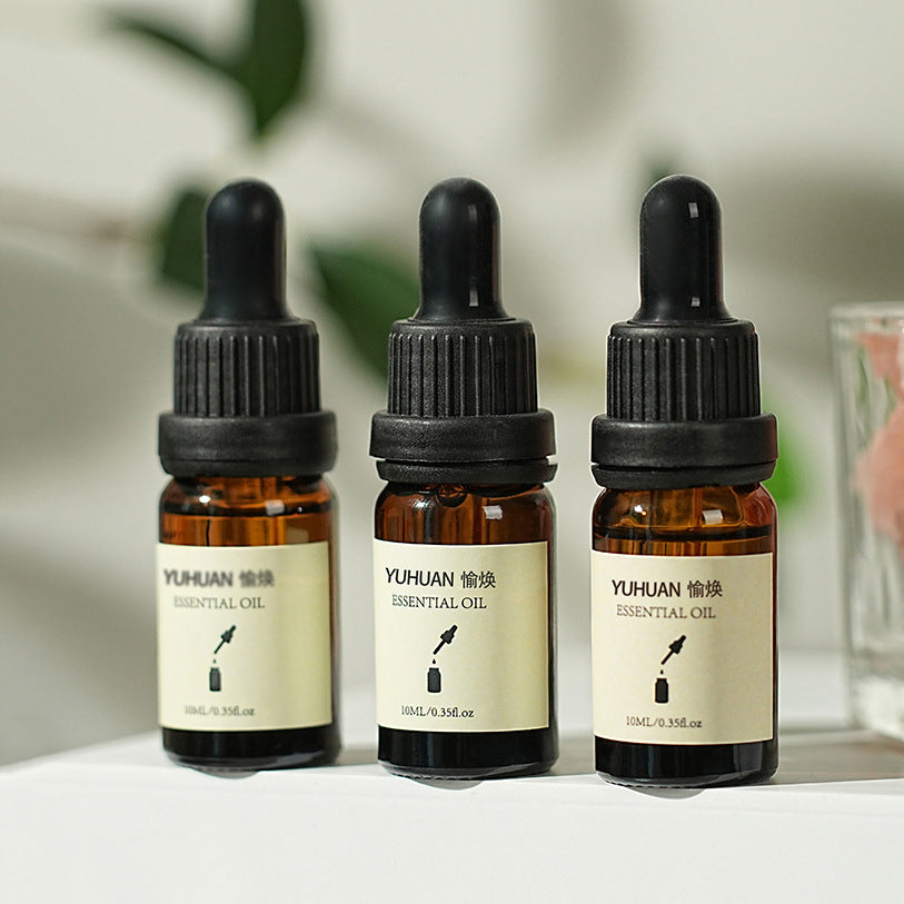 Humidifier Aromatherapy Essential Oil Special for Home Indoor Long-lasting Gypsum Diffuser Stone Dropper Type Aromatherapy Essential Oil Water-soluble