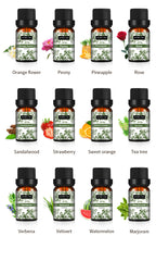 Full Set Candle Aromatherapy Essential Oil Lavender Single Essential Oil 10ml Perfume Oil Massage Skincare Plant Tea Tree Essential Oil