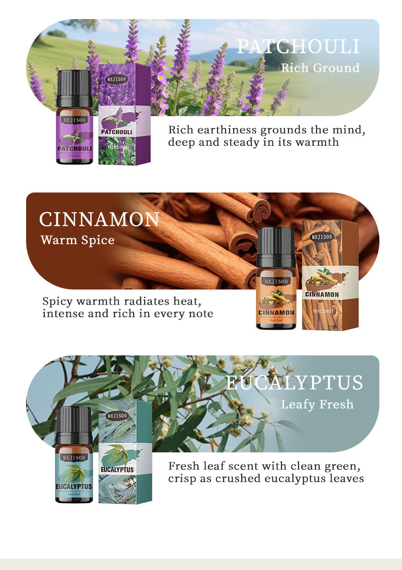 Cross-Border English Water-Soluble Aromatherapy Essential Oil 5ML Plant Essential Oil Suitable for Bedroom Humidifier Diffuser Aromatherapy Essential Oil