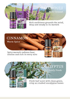 Cross-Border English Water-Soluble Aromatherapy Essential Oil 5ML Plant Essential Oil Suitable for Bedroom Humidifier Diffuser Aromatherapy Essential Oil