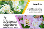 YINSHO Flameless Aromatherapy Essential Oil for Home Air Freshener Water-Soluble Humidifier Special Essential Oil Manufacturer Wholesale