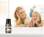 Oil-Soluble Aromatherapy Essential Oil 10ml Diffuser Paraffin Candle Aromatherapy Essential Oil Oil-Soluble Essential Oil
