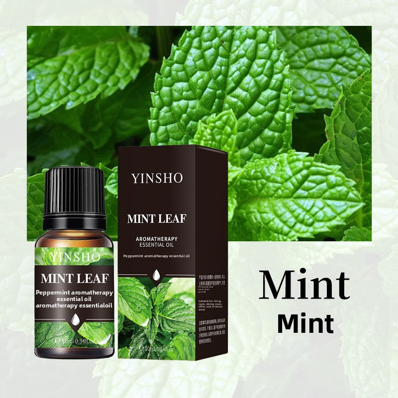 YINSHO Flameless Aromatherapy Essential Oil for Home Air Freshener Water-Soluble Humidifier Special Essential Oil Manufacturer Wholesale