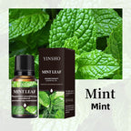 YINSHO Flameless Aromatherapy Essential Oil for Home Air Freshener Water-Soluble Humidifier Special Essential Oil Manufacturer Wholesale