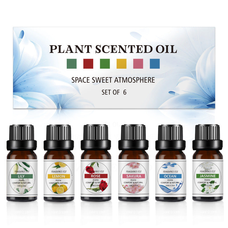 10ml Water-Soluble Aromatherapy Essential Oil for Fresh Fragrance, Humidifier Diffuser, Long-Lasting Scent, Cross-Border Hot Item