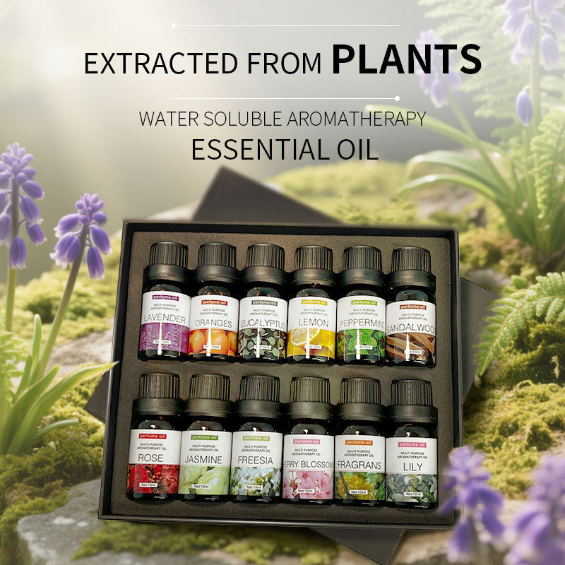 10ML *12 Pieces Home Bedroom Car Aromatherapy Water-Soluble Humidifier Aromatherapy Essential Oil Set