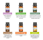 Water-Soluble Aromatherapy Essential Oil 10ml Humidifier Diffuser Stone Gypsum Long-Lasting Incense Set Long-Lasting Fragrance