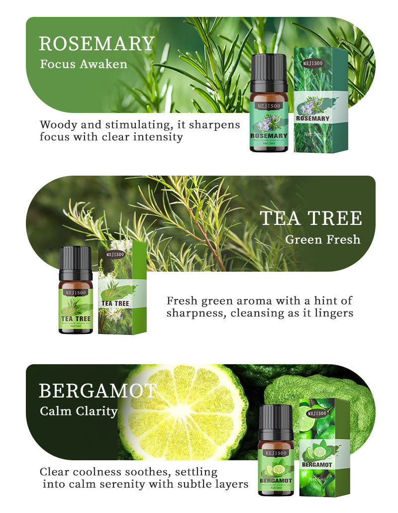 Cross-Border English Water-Soluble Aromatherapy Essential Oil 5ML Plant Essential Oil Suitable for Bedroom Humidifier Diffuser Aromatherapy Essential Oil
