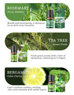 Cross-Border English Water-Soluble Aromatherapy Essential Oil 5ML Plant Essential Oil Suitable for Bedroom Humidifier Diffuser Aromatherapy Essential Oil