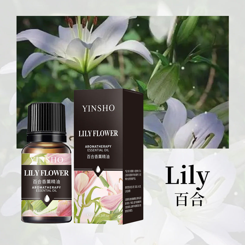 YINSHO Flameless Aromatherapy Essential Oil for Home Air Freshener Water-Soluble Humidifier Special Essential Oil Manufacturer Wholesale