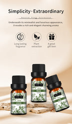 Full Set Candle Aromatherapy Essential Oil Lavender Single Essential Oil 10ml Perfume Oil Massage Skincare Plant Tea Tree Essential Oil