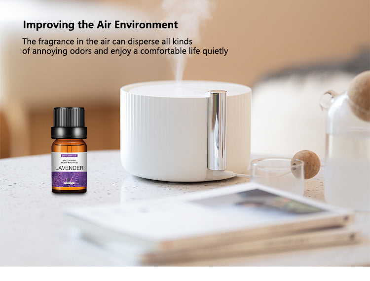 Water-Soluble Aromatherapy Essential Oil 10ml Humidifier Diffuser Stone Gypsum Long-Lasting Incense Set Long-Lasting Fragrance