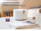 Water-Soluble Aromatherapy Essential Oil 10ml Humidifier Diffuser Stone Gypsum Long-Lasting Incense Set Long-Lasting Fragrance