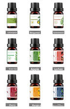 Water Soluble Aromatherapy Essential Oil Set 10ml Humidifier Special Fragrance Oils Plant Diffuser Aromatic Kit