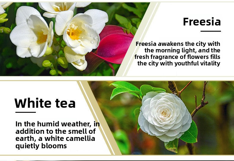 10ML Water Soluble Humidifier Aromatherapy Essential Oil Fragrance Oil Lavender Rose Aromatherapy Essential Oil