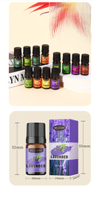 Cross-Border English Water-Soluble Aromatherapy Essential Oil 5ML Plant Essential Oil Suitable for Bedroom Humidifier Diffuser Aromatherapy Essential Oil