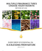Water-soluble Lavender Essential Oil 10ml Aromatherapy Lavender Essential Oil Perfume Oil