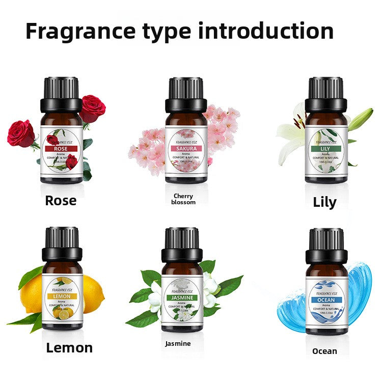 10ml Water-Soluble Aromatherapy Essential Oil for Fresh Fragrance, Humidifier Diffuser, Long-Lasting Scent, Cross-Border Hot Item