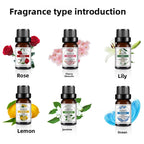 10ml Water-Soluble Aromatherapy Essential Oil for Fresh Fragrance, Humidifier Diffuser, Long-Lasting Scent, Cross-Border Hot Item