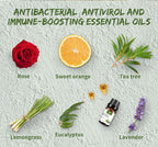 100% Pure Essential Oils Set Aromatherapy for Home Diffuser Natural Plant Extracts Long Lasting Fresh Air Water Soluble Aromatherapy Kit