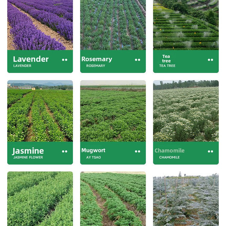 Wuyuan 10ml Lavender Rose Sweet Orange Tea Tree Pure Plant Aromatherapy Essential Oil Natural Single Essential Oil Wholesale