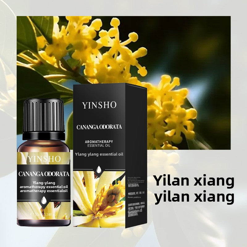 YINSHO Flameless Aromatherapy Essential Oil for Home Air Freshener Water-Soluble Humidifier Special Essential Oil Manufacturer Wholesale
