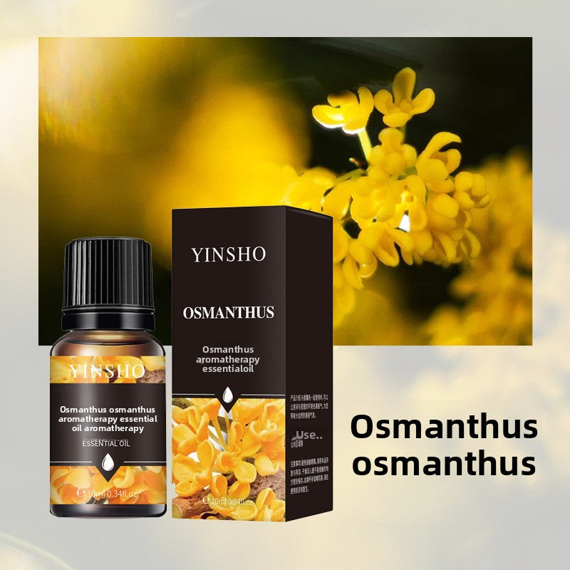 YINSHO Flameless Aromatherapy Essential Oil for Home Air Freshener Water-Soluble Humidifier Special Essential Oil Manufacturer Wholesale