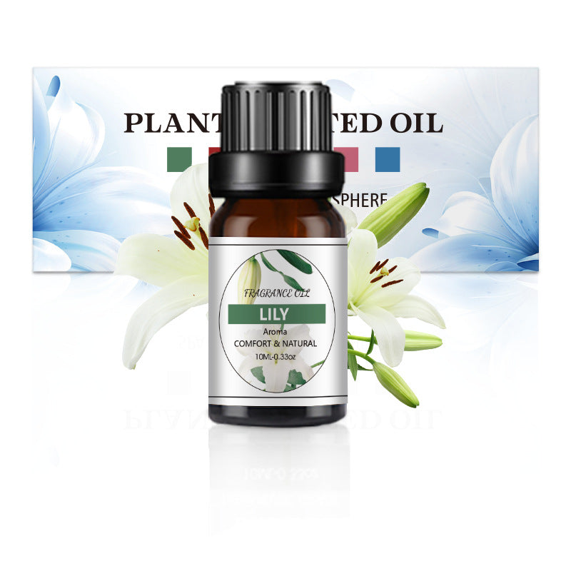 10ml Water-Soluble Aromatherapy Essential Oil for Fresh Fragrance, Humidifier Diffuser, Long-Lasting Scent, Cross-Border Hot Item