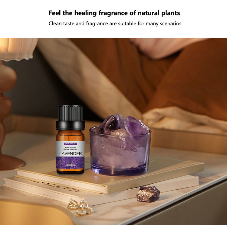 Water-Soluble Aromatherapy Essential Oil 10ml Humidifier Diffuser Stone Gypsum Long-Lasting Incense Set Long-Lasting Fragrance