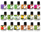 100% Pure Essential Oils Set Aromatherapy for Home Diffuser Natural Plant Extracts Long Lasting Fresh Air Water Soluble Aromatherapy Kit